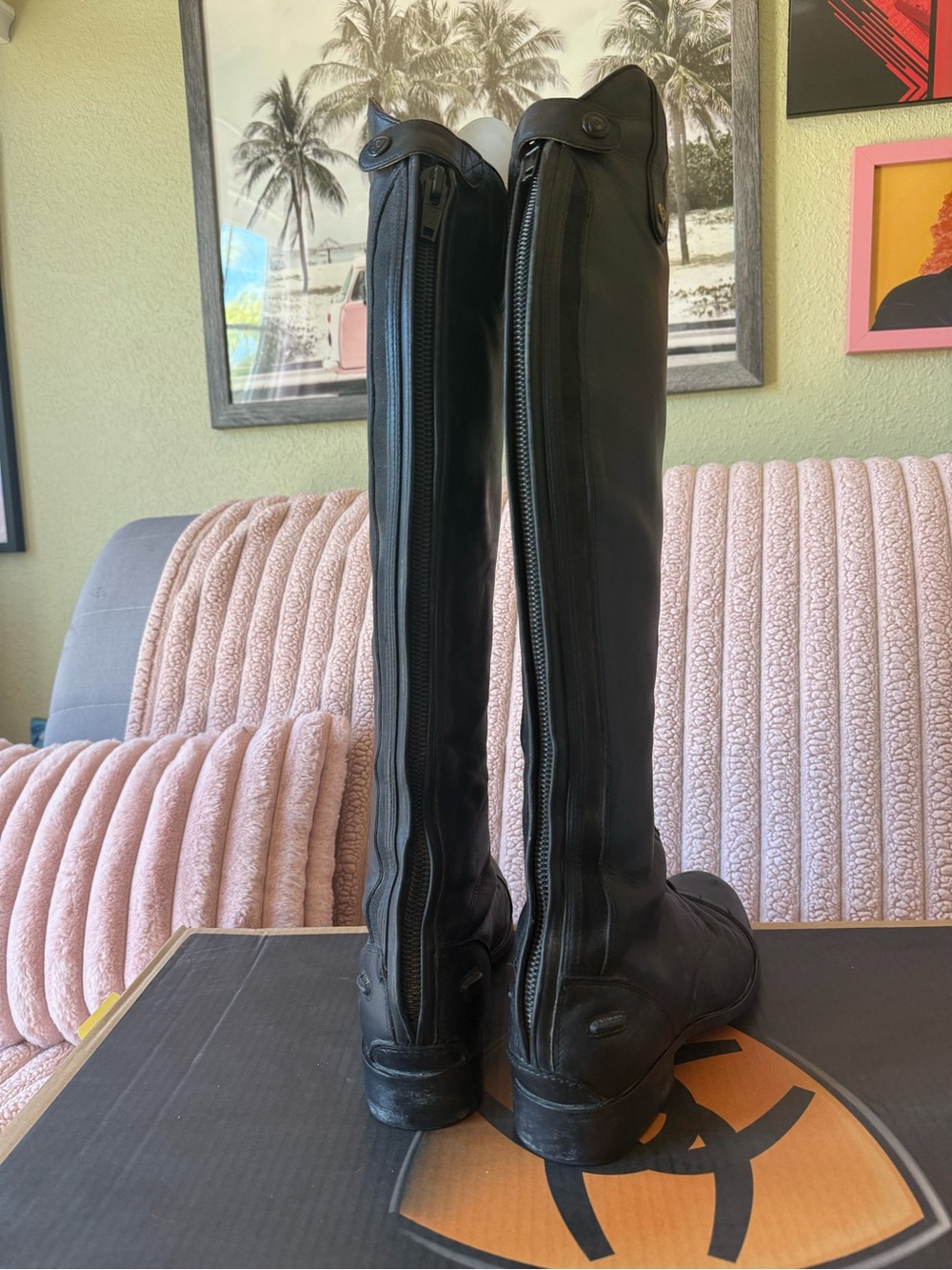 Riding boots - Picture 9 of 16